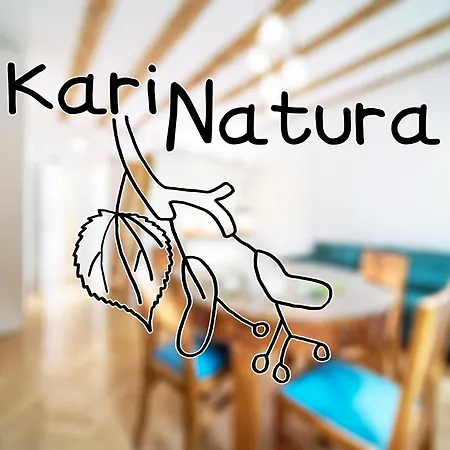 Karinatura Apartment *